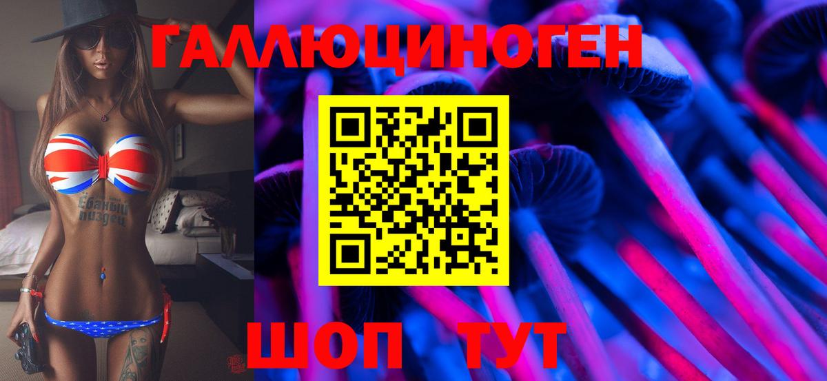 Сертолово  Псилоцибиновые грибы мицелий  Вход с VPN  Псилоцибиновые грибы мицелий 